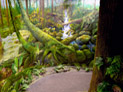 Pathways to Discovery Umpqua Discovery Center, WOW arts & exhibits, designer/fabricator, 'Forest Scene to Subterranean Theater' environment - Peggy O'Neal, muralist